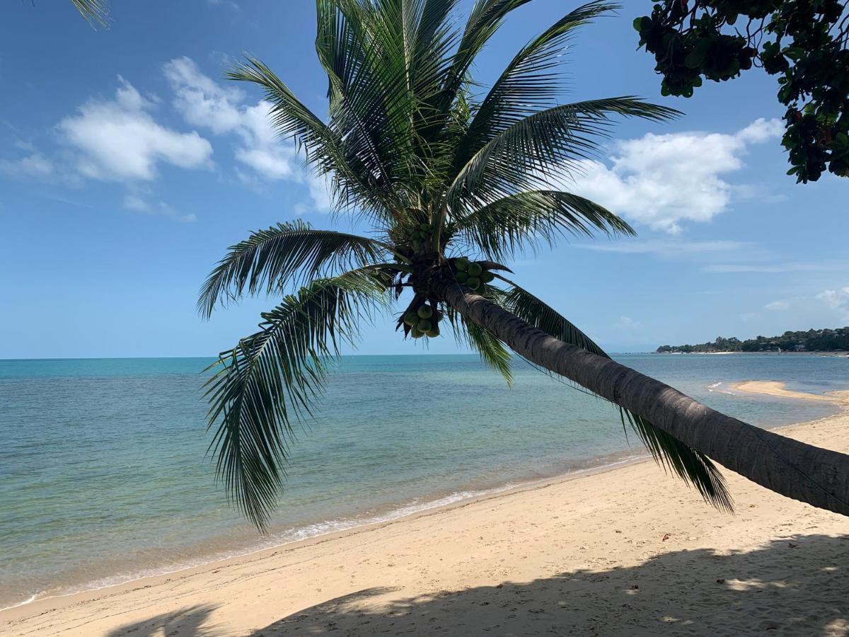 Sand Sea Beach Resort Lamai Beach  Exteriör bild